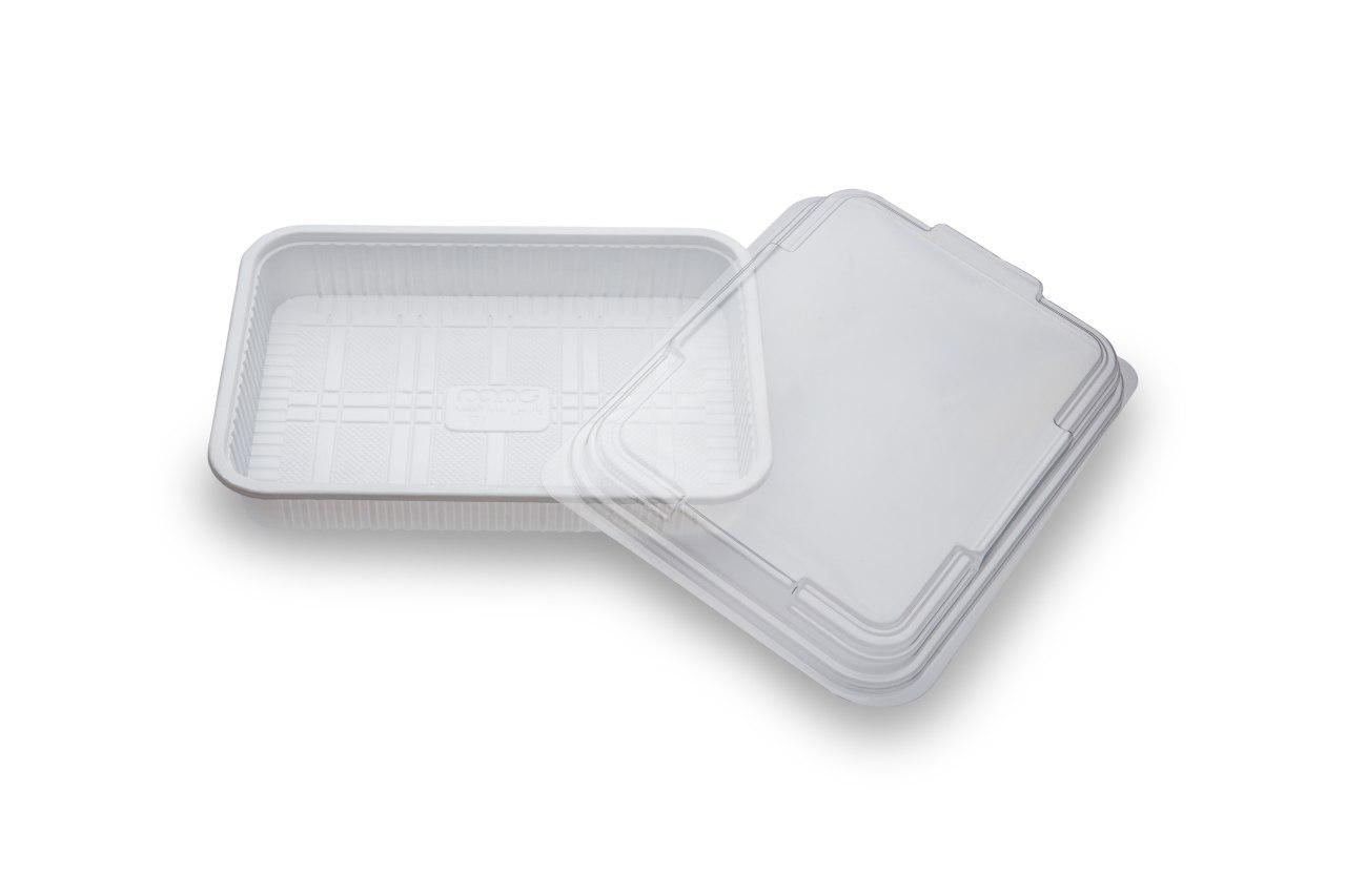 جعبه غذا – Disposable Lunch Box