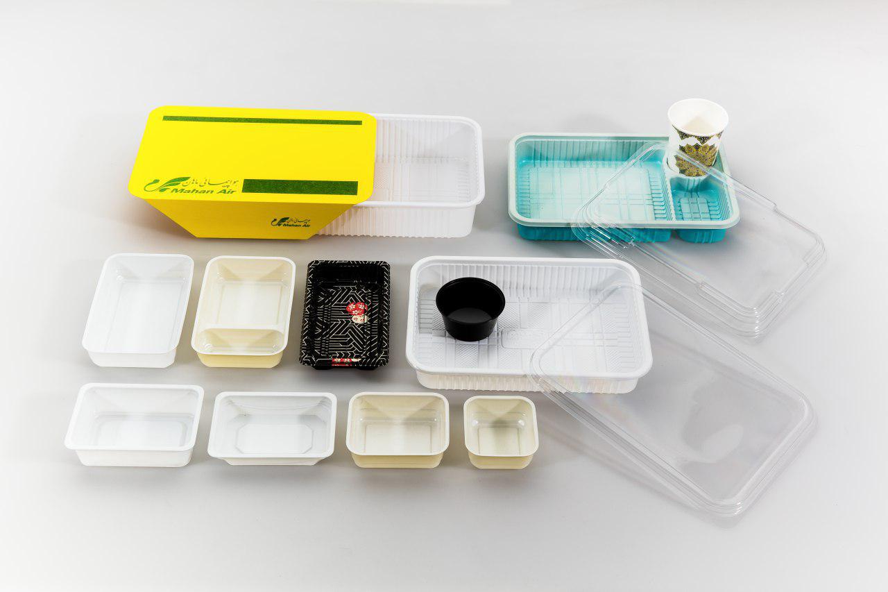 ظروف پلاستیکی یکبار مصرف – Plastic Disposable Containers